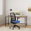 image:imageSteelcase Series 2 Office Chair Carpet Floors Pink LemonadeRoyal Blue